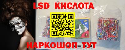 ECSTASY Новозыбков