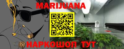 ECSTASY Новозыбков