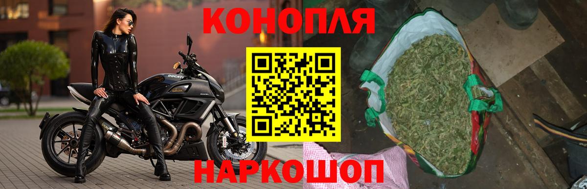 Марихуана сатива Приморско-Ахтарск
